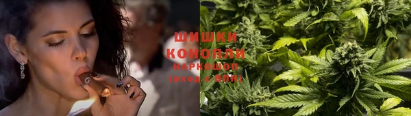 мдпв Вязники
