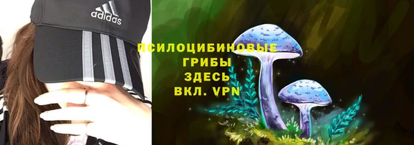 бутират Вяземский