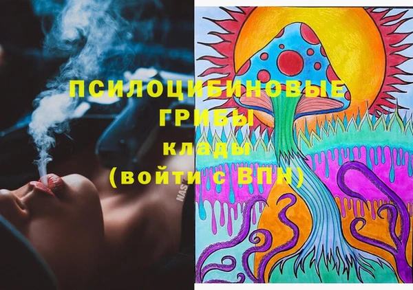 мдпв Вязники