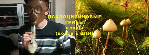 мдпв Вязники