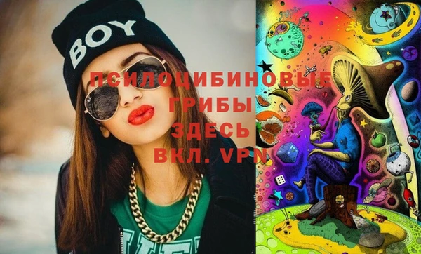 бошки Вязьма